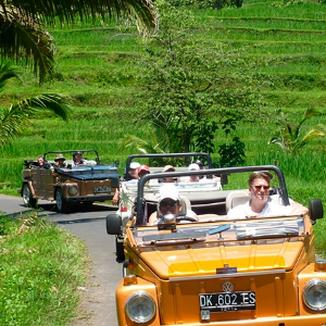Explore the Inner Part of Bali by VW